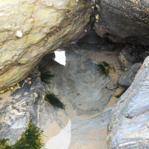 Rock pool, Porthtowan